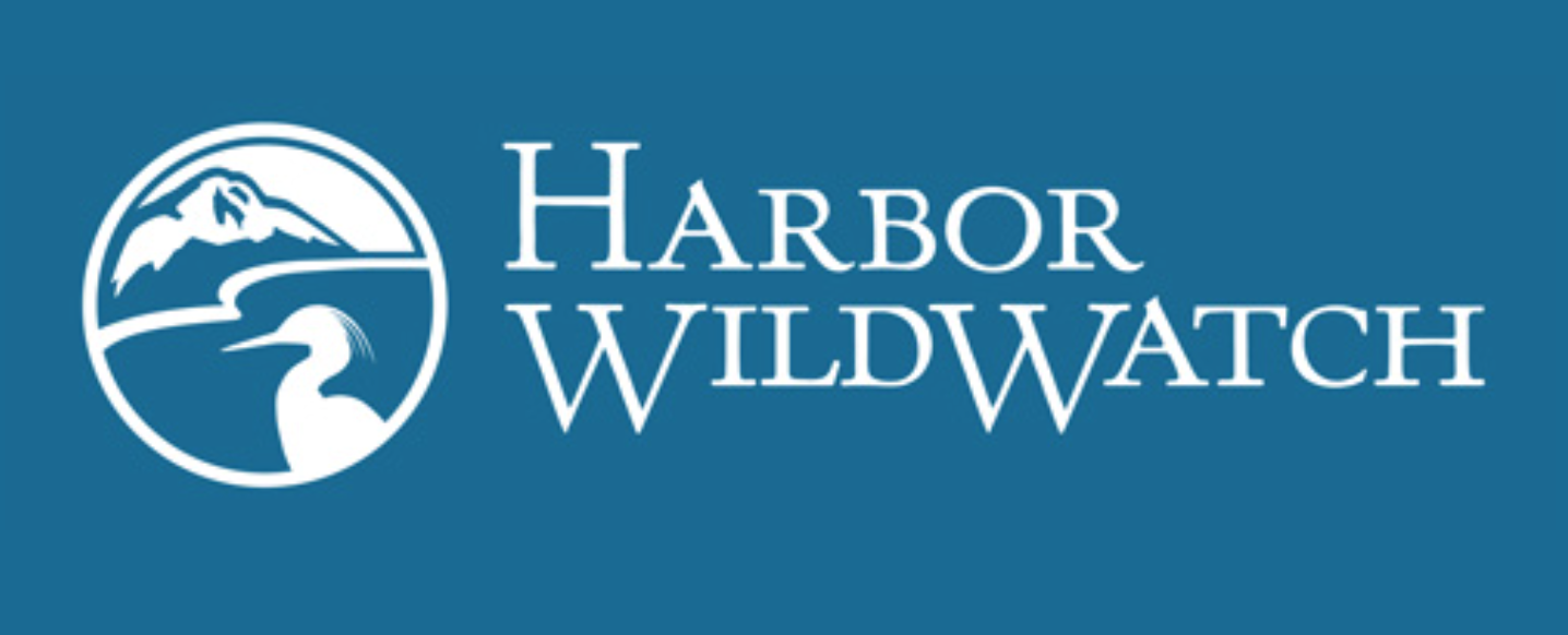 Harbor Wild Watch